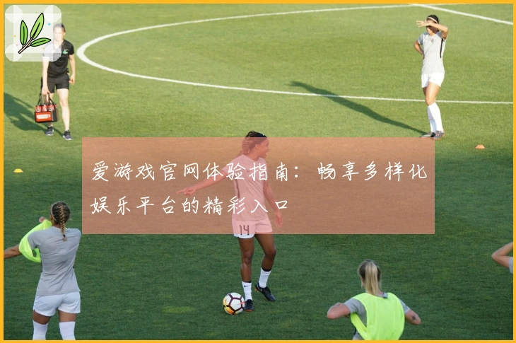 爱游戏官网体验指南:畅享多样化娱乐平台的精彩入口