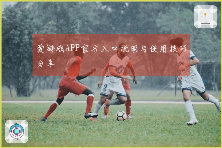 爱游戏APP官方入口说明与使用技巧分享