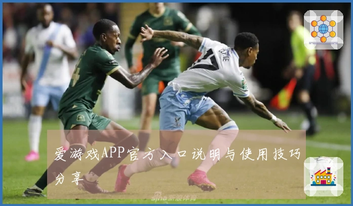 爱游戏APP官方入口说明与使用技巧分享